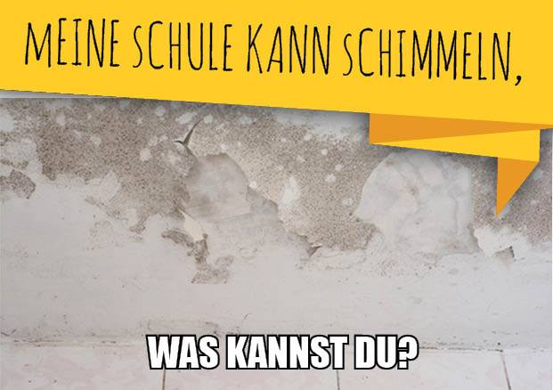 Meine Schule schimmelt